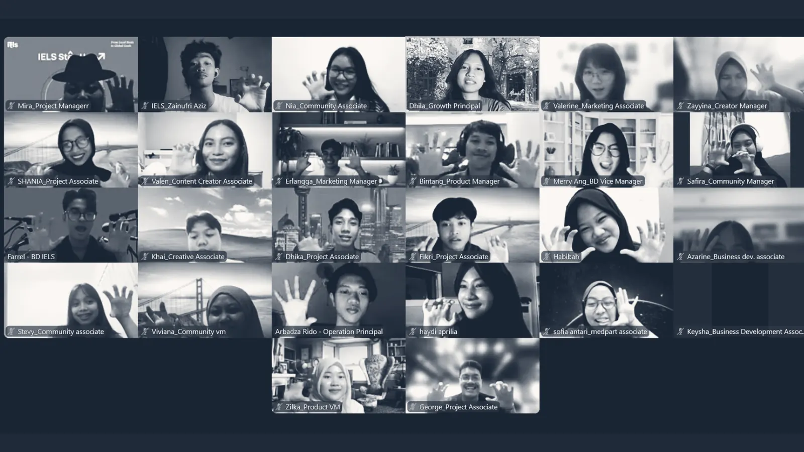 An online IELS Circle session on a video call